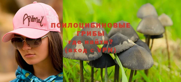 спиды Бронницы