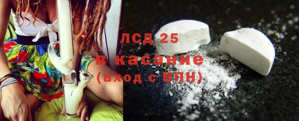 ГАЛЛЮЦИНОГЕННЫЕ ГРИБЫ Бородино