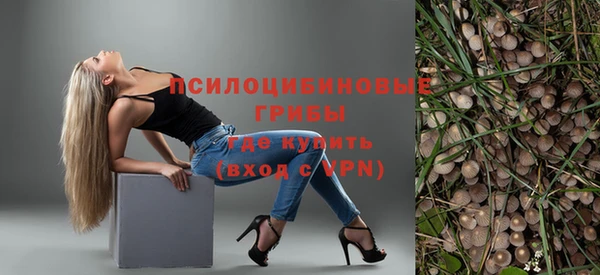спиды Бронницы